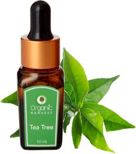 Organic Harvest Tea Tree Essential Oil, Reduces Acne & Dark Spots, Treats Dandruff, Face, Hair Care, Pure & Undiluted Therapeutic Grade Oil, Excellent for Aromatherapy,100% Organic, Paraben & Sulphate Free