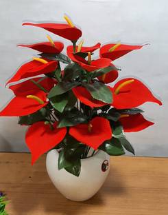 Chumbak Wild Artificial Plant With Pot Price In India Buy Chumbak Wild Artificial Plant With Pot Online At Flipkart Com Artificial plants offer a convenient way to personalize freshwater aquariums with minimal effort. flipkart