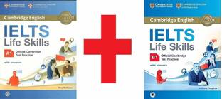 flipkart
