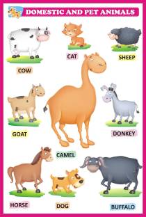 Animal Names Chart Learning For Kids | Domestic Animals Chart Chart Paper  Print - H Krishna posters - Educational posters in India - Buy art, film,  design, movie, music, nature and educational