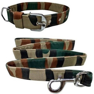 funky dog collars and leashes