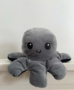 mood octopus grey and white