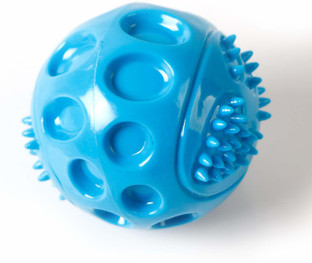 blue squeaky dog ball