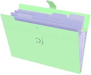 4 Pack Expanding File Folders 8 Pockets Document Organizer A4 Letter Size Plastic File Folder with Labels Document Holder for Business School Supplies 