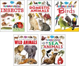 Picture Book Collections For Early Learning (Set Of 5) - My First Book Of  Wild Animals, My