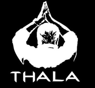 AVSARACHNA Sticker \u0026 Decal for Car 