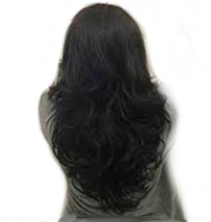 Alizz Long Hair Wig Price in India - Buy Alizz Long Hair Wig online at  