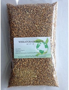 Magic Grow Wheatgrass Rex Products Wheatgrass Seed 1lb Guaranteed to Grow Non-GMO 