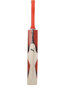 puma evospeed 4 cricket bat