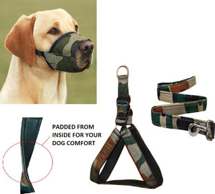 dog muzzle harness