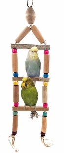 Alfie Pet Samuel Hanging Wooden Bendable Bridge Ladder Toy for Birds 