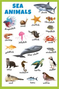 ROLLUP CHART OF FISHES & AQUATIC ANIMALS (PIPE MOUNTED) Photographic Paper  - Educational posters in India - Buy art, film, design, movie, music,  nature and educational paintings/wallpapers at 