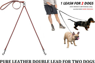 moto pups lookout tower