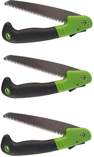 Cutting Sawing Pruning Tree Branch 