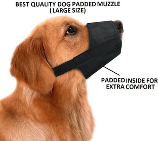best muzzle to stop barking