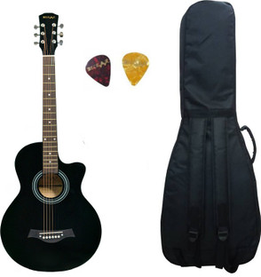 Polo guitar price clearance