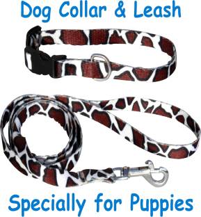 BODY BUILDING Dog Belt Combo of 1/2 inch White-Brown Dog Collar & Leash Specially for Small Dogs, Cat, Kitten & Puppies Dog Collar & Leash