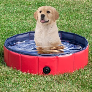 Collapsible Hard Plastic Dog Swimming Pool Portable Bath Tub for Pets Dogs and Cats Pet Wading Pool for Indoor and Outdoor Niubya Foldable Dog Pool 