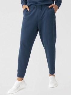 Damensch Solid Men Blue Track Pants 