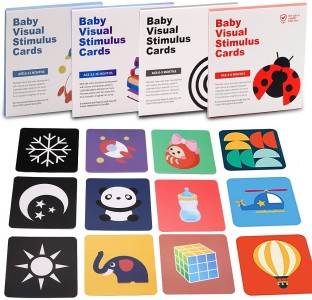 26  FIRST ANIMAL FLASH CARDS FIRST LEARNING VISUALLY EYECATCHING BABY 