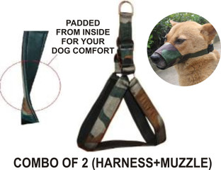 dog snout harness