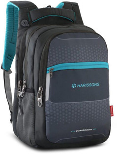 harissons laptop backpack