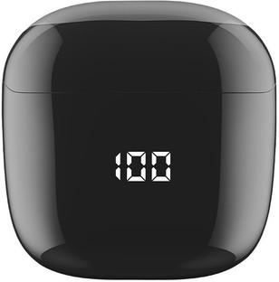 CORSECA Plum Truly Wireless Powerbuds 