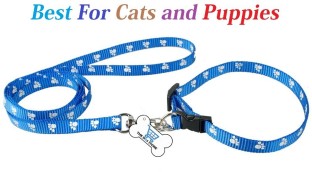 Nylon Cute Paw Print Puppy Dog Strap Harness and Leads Leash Set for Small Dogs 