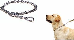 dog chain for neck