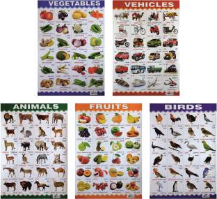 Anilmals, Vegetables, Fruits, Vehicles And Birds: Buy Anilmals, Vegetables,  Fruits, Vehicles And Birds by Jeyabalan at Low Price in India 