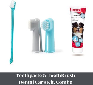 toothbrush and toothpaste in one