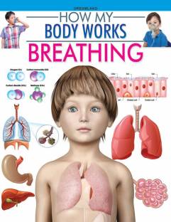 Breathing - How My Body Works