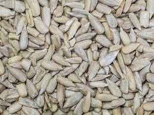 Dream mall Pumpkin Seeds Seed