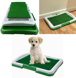 dog restroom mat
