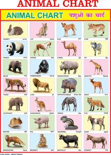 English Hindi Animals Chart For Kids | 28x40Inch (70x100cm)| Laminated chart | Waterproof and Non tearable Wall Chart. Paper Print - Educational posters in India - Buy art, film, design, movie, music, English Hindi Animals Chart For Kids | 28x40Inch (70x100cm)| Laminated chart | Waterproof and Non tearable Wall Chart. Paper Print - Educational posters in India - Buy art, film, design, movie, music,