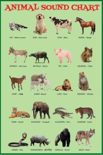 Animals Sound Sticker Poster For Education|1Pc|Sticker Poster For  Preschooling, Classroom, Kindergarten|Decorative Wall Sticker Poster|1Pc  Paper Print - Educational, Decorative posters in India - Buy art, film,  design, movie, music, nature and educational