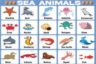 Sea Animals Wall Sticker Poster|Sticker Poster For Kids Learning Sticker  Poster For Play School, Study Room, Nursery|Sticker Poster For  Decoration|1Pc Paper Print - Educational, Decorative posters in India - Buy  art, film,