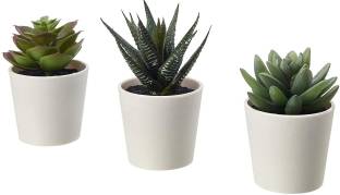 jktraders Artificial Succulent Plants with Plastic Pot (Green, 3 Pieces,10 x 5 x 10 cms) Bonsai Artificial Plant  with Pot