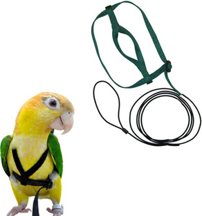 small bird harness and leash
