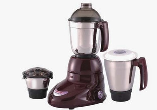 butterfly chakra 2j mixer 550w price