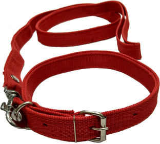 collar leash