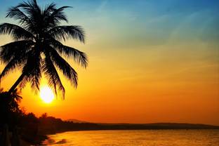 nature painting canvas art nature posters in india buy art film