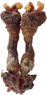 Numeroastro Hatha Jodi Decorative Showpiece 4 75 Cm Reviews Latest Review Of Numeroastro Hatha Jodi Decorative Showpiece 4 75 Cm Price In India Flipkart Com The plant is called 'hatha jodi' since it. flipkart