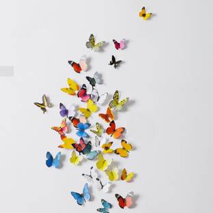 Jaamsoroyals Medium 3d Butterfly Sticker Price In India Buy