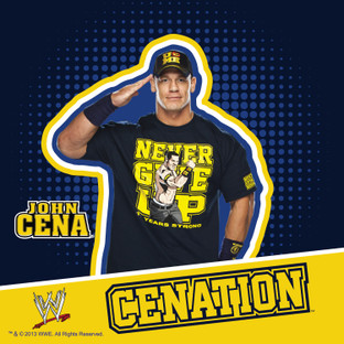 Latest Review of Wwe John Cena Cushion 