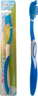 lotus flex brush price