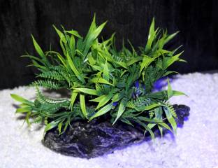 mysphere Grass-Lava-Rock Aquarium Plant Anchor