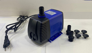 live plants aquarium online