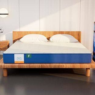 FLO Ergo 4 inch Single High Resilience (HR) Foam Mattress(L x W: 75 inch x 42 inch)
