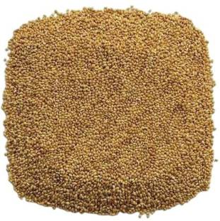 Veganic Foxtail Millet For Birds | Kangni Seed Bird Food Millet Seeds